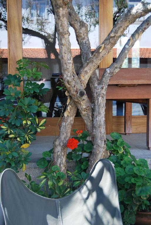 Quinta De Tourais Hotel ลาเมโก ภายนอก รูปภาพ