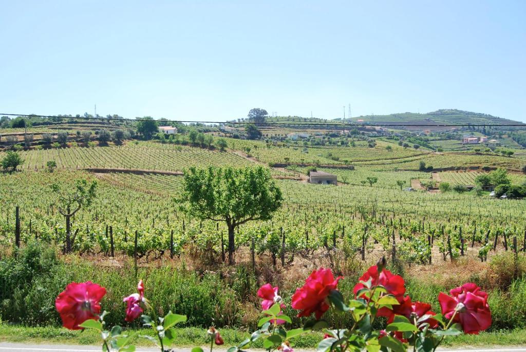 Quinta De Tourais Hotel ลาเมโก ภายนอก รูปภาพ