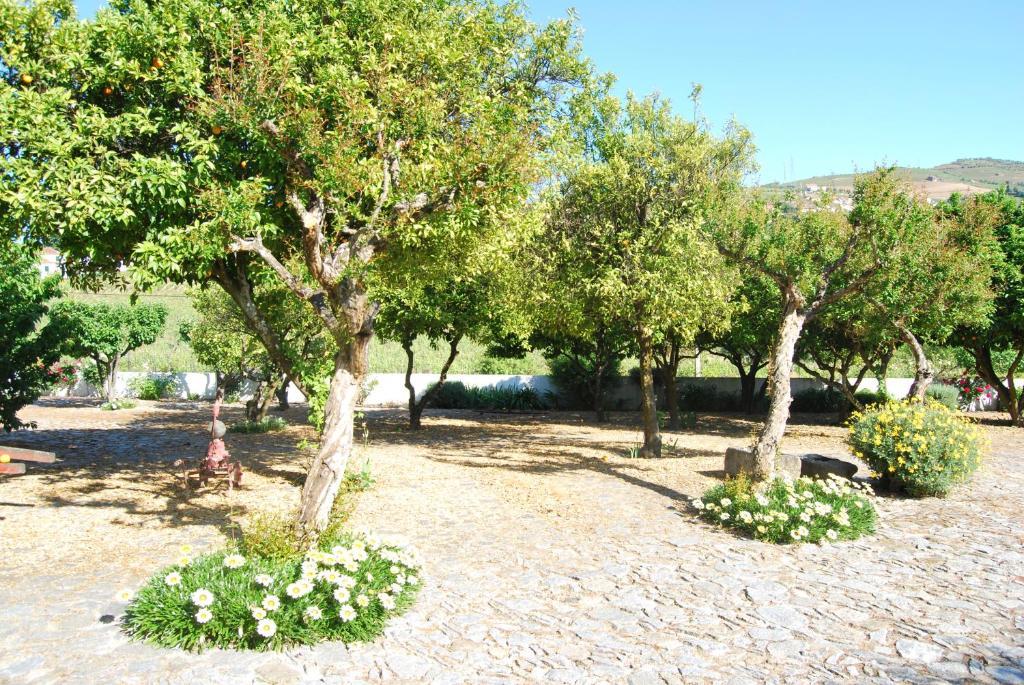 Quinta De Tourais Hotel ลาเมโก ภายนอก รูปภาพ